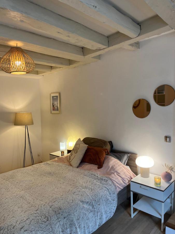 Good Vibes Apartment Grenoble Exterior photo